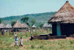 Ein Tsonga-Dorf im Nordosten der Provinz.